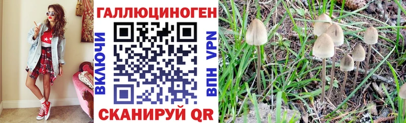 Псилоцибиновые грибы мухоморы  купить наркотик  mega зеркало  Новый Оскол 